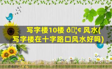 写字楼10楼 🦢 风水(写字楼在十字路口风水好吗)